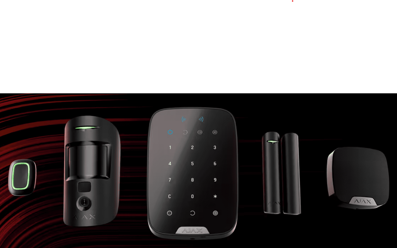 Wireless alarm devices used in a professionally installed customer-owned security system